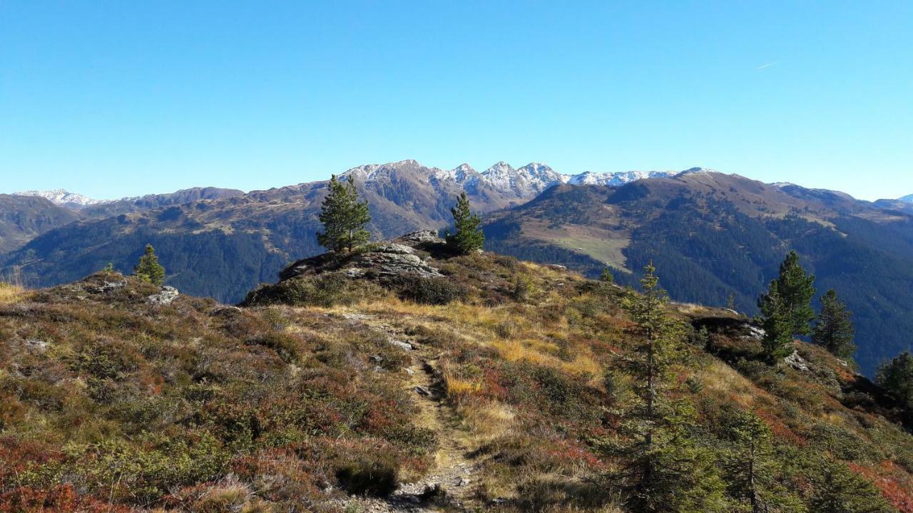 Fewo "Unterm Wald" Stumm Buitenkant foto