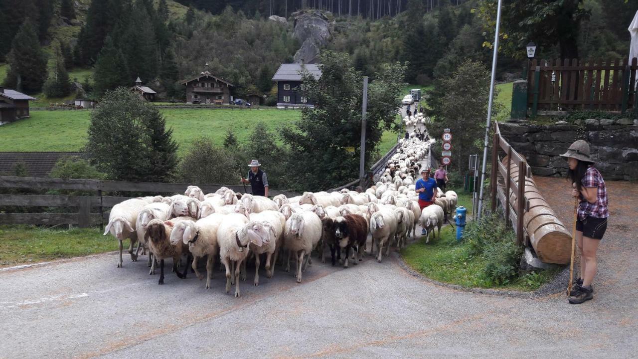 Fewo "Unterm Wald" Stumm Buitenkant foto